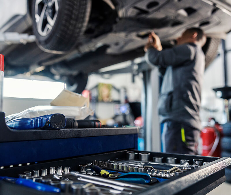 Cras eget odio et nisi aliquet